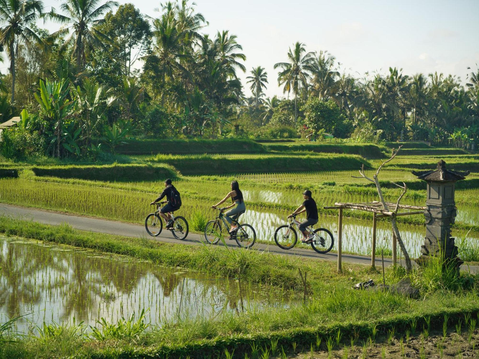 Nandini Jungle By Hanging Gardens Ubud  Exterior photo